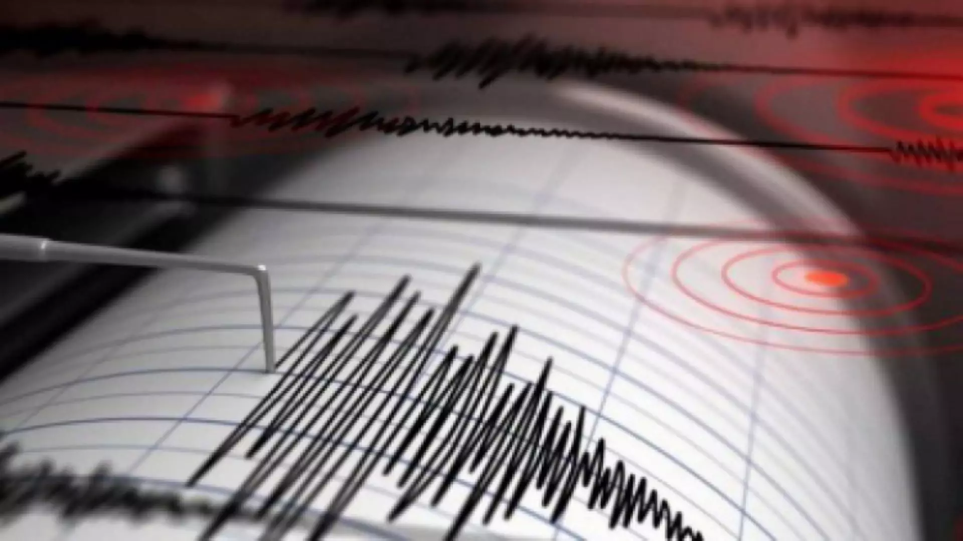 Um sismo de 3.4 na escala de Richter foi registado, na tarde desta quarta-feira, no sul de Portugal, informou o IPMA em comunicado.